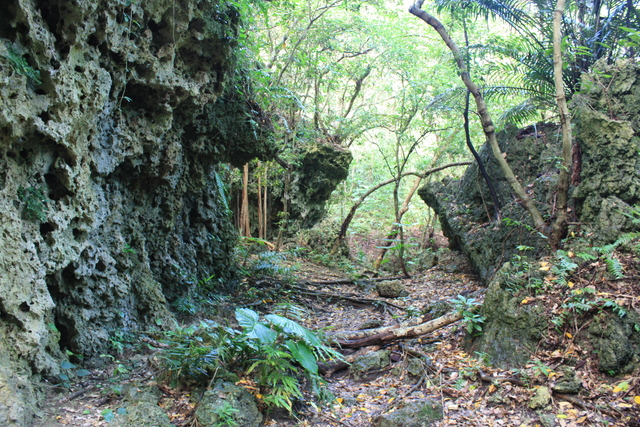 史跡・斎場御嶽８の写真の写真