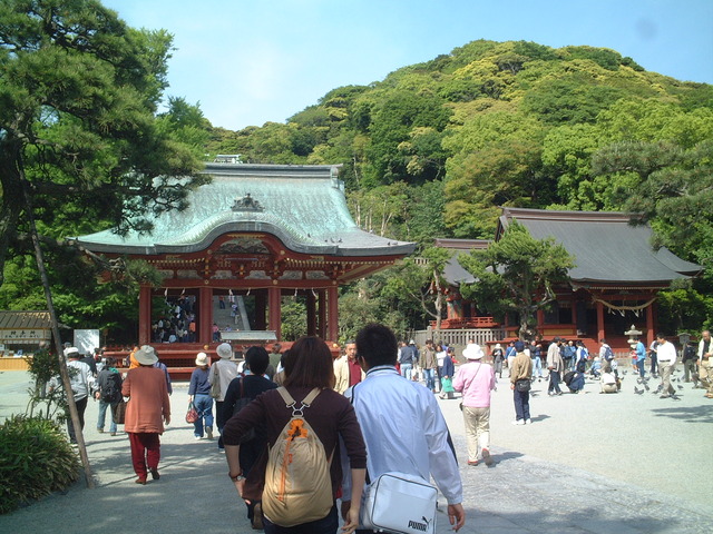 世界遺産暫定リスト・古都鎌倉の寺院・鶴岡八幡宮・上宮の写真の写真
