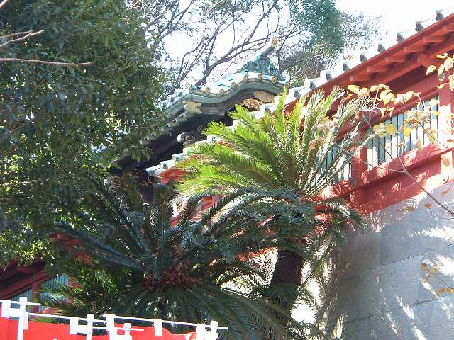 重要文化財・大歳御祖神社中門の写真の写真