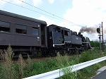蒸気機関車(SL)のC11 312・通過