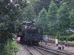 蒸気機関車(SL)のC11 190・スイッチバック中