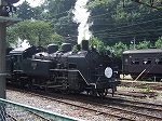 蒸気機関車(SL)のC11 227・白煙を上げる