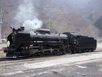 蒸気機関車(SL)のD51 １７