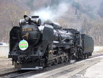 蒸気機関車(SL)のD51 １５