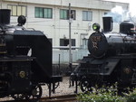 蒸気機関車(SL)のC12とC11が向かい合っている姿