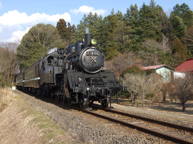 蒸気機関車(SL)のC12・のどかな場所を走るSLの写真の写真