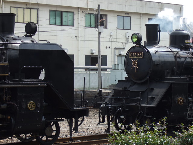 蒸気機関車(SL)のC12とC11が向かい合っている姿の写真の写真