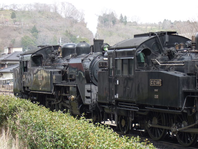 蒸気機関車(SL)・前はC12 66号機・後ろはC11 325号機の写真の写真