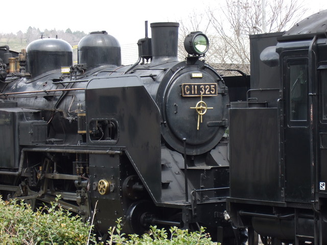 蒸気機関車(SL)のC11 325・前補機からみた後補機の写真の写真