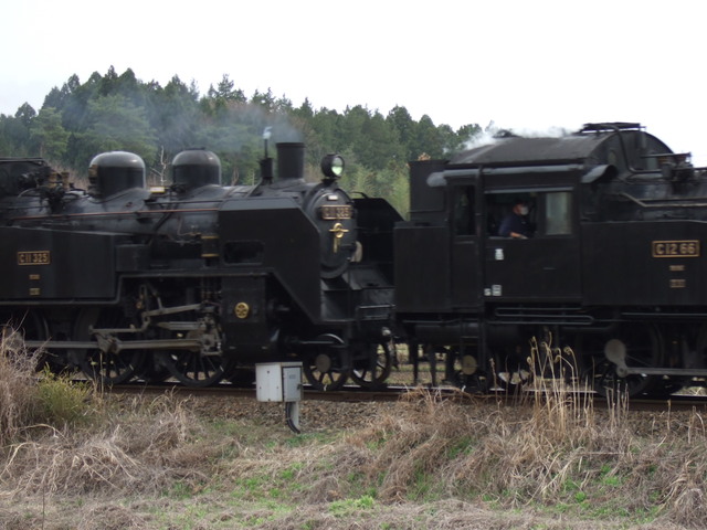 蒸気機関車(SL)のC12とC11の重連・スピードを上げて通過の写真の写真