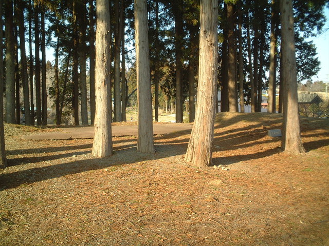 特別史跡・多賀城跡附寺跡の写真の写真
