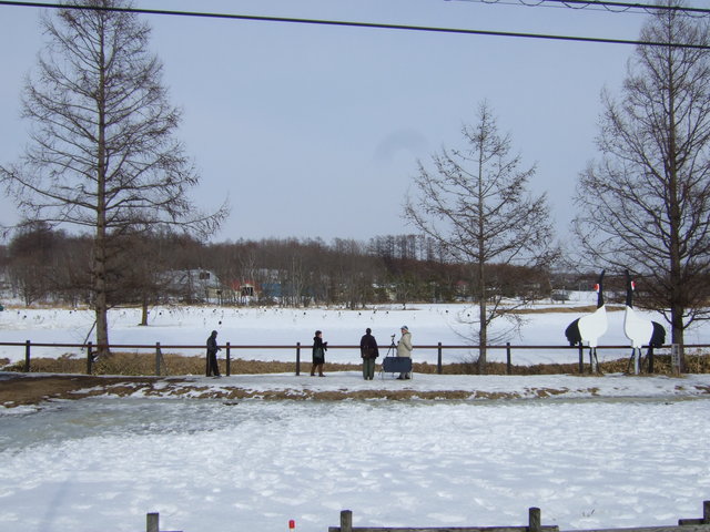 鶴見台のタンチョウ給仕場の写真の写真