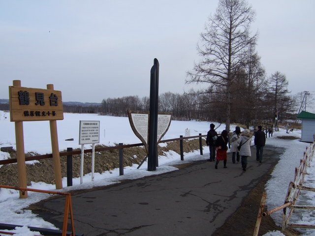 鶴見台のタンチョウ見学場所の写真の写真