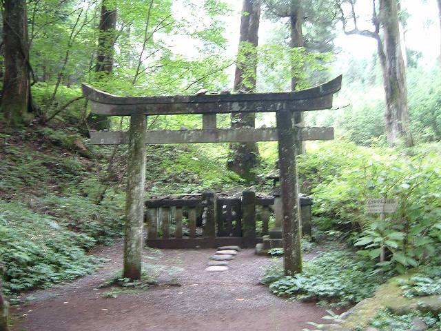 世界遺産・日光の社寺・二荒山神社別宮滝尾神社鳥居１の写真の写真