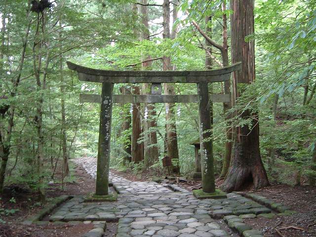 世界遺産・日光の社寺・二荒山神社別宮滝尾神社鳥居３の写真の写真