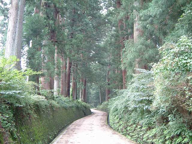 特別史跡・特別天然記念物・栃木・日光杉並木街道附並木寄進碑の写真の写真