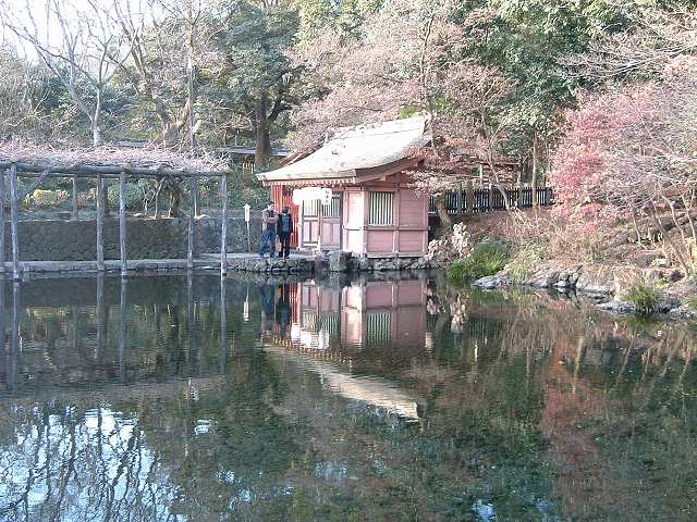 特別天然記念物・湧玉池の写真の写真