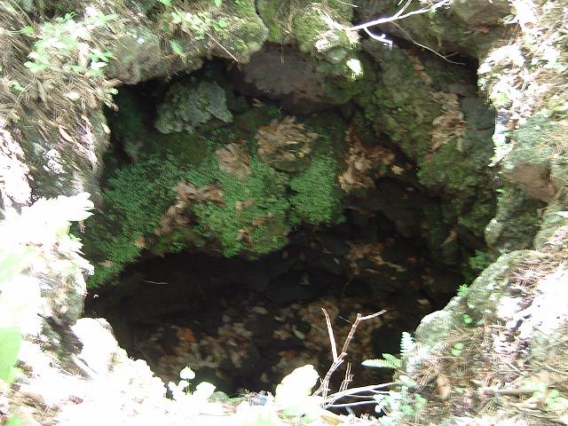 特別天然記念物・鳴沢熔岩樹型の写真の写真