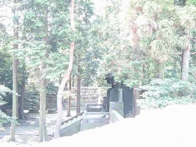 重要文化財・常憲院霊廟奥院唐門の写真の写真