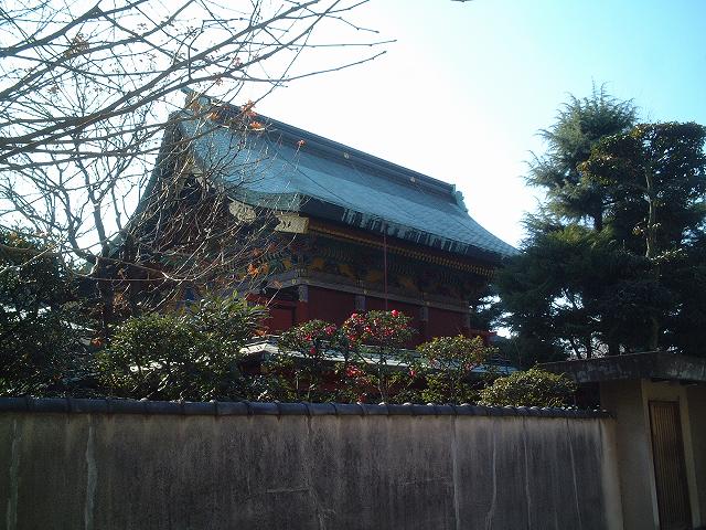 重要文化財・浅草神社本殿及び幣殿の写真の写真