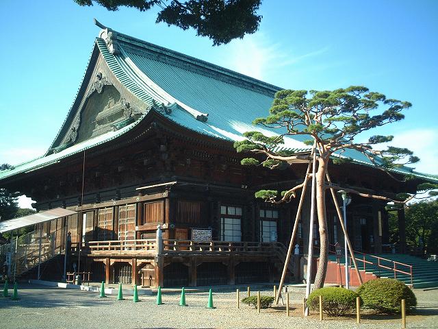 重要文化財・護国寺本堂の写真の写真