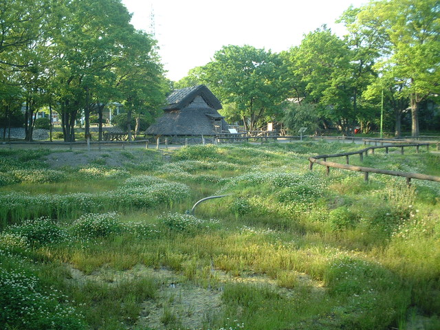 特別史跡・静岡・登呂遺跡の写真の写真
