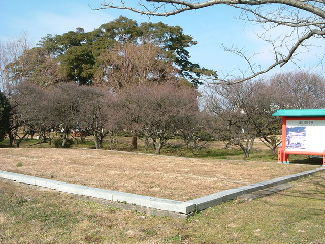 特別史跡・遠江国分寺跡・建物の跡２の写真の写真