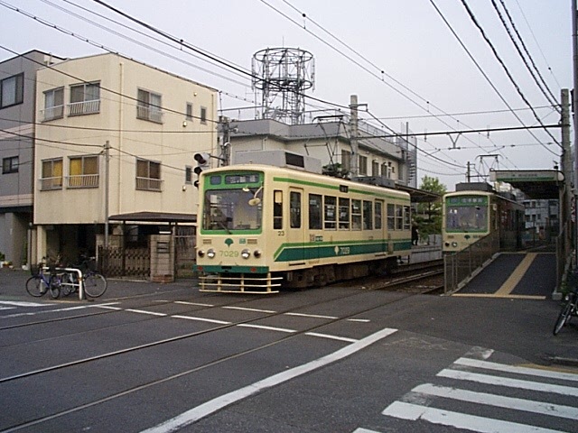 路面電車・東京・東京都交通局の写真の写真