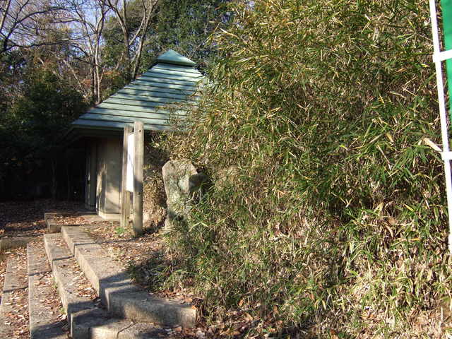 特別史跡・山上碑および古墳・古墳から見る覆屋の写真の写真