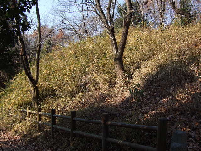 特別史跡・山上碑および古墳・7世紀ごろの古墳の写真の写真