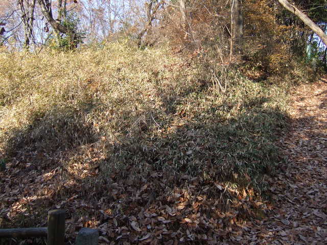 特別史跡・山上碑および古墳・何がなんだかわからないの写真の写真