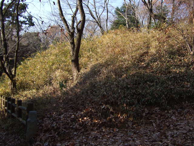 特別史跡・山上碑および古墳・山に同化している古墳の写真の写真