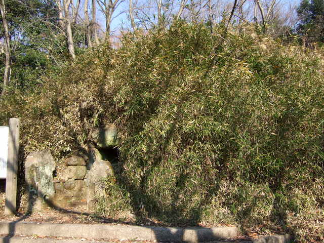 特別史跡・山上碑および古墳・整備されているから入り口はなんとなくわかるの写真の写真